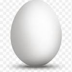 Egg